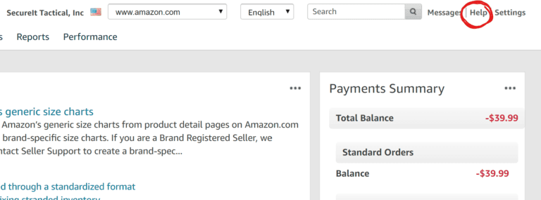A screenshot of the payment summary page for Seller Central management.