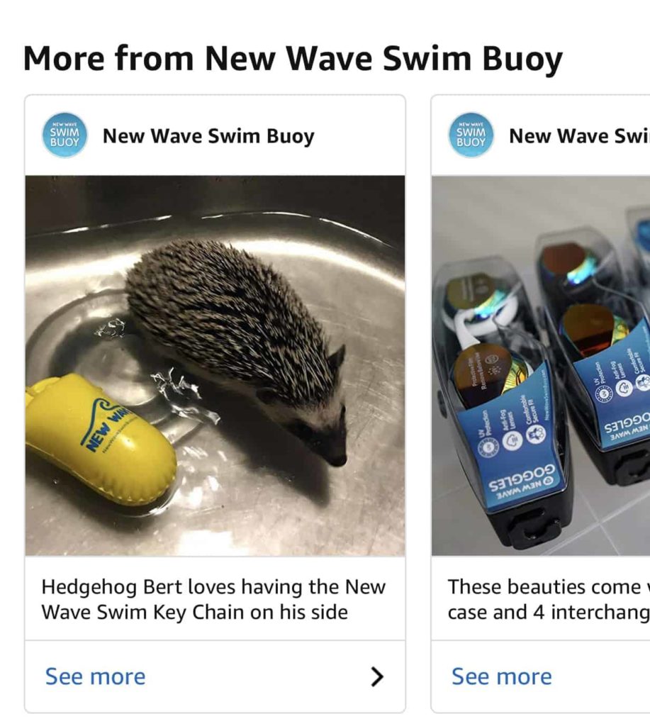 A picture of a hedgehog and a new wave swim buggy, perfect for marketing management.