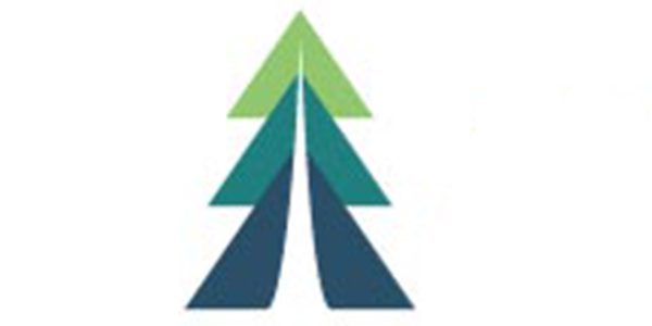 A logo featuring a tree with elements of account management and marketing management incorporated, inspired by the branding of Amazon.