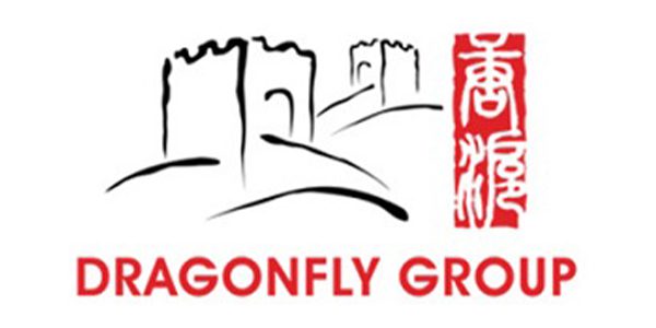 Dragonfly group logo representing marketing management.