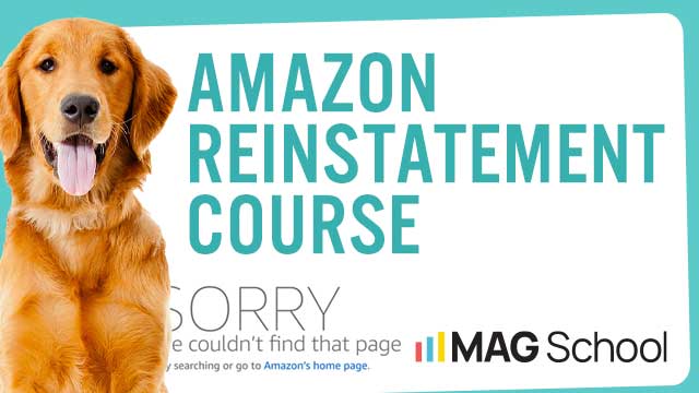 Amazon Reinstatement Course