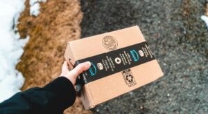 Amazon Seller Fulfilled Prime Featured Image