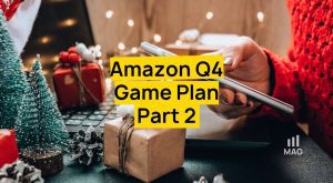 Amazon Q4 Game Plan part 2