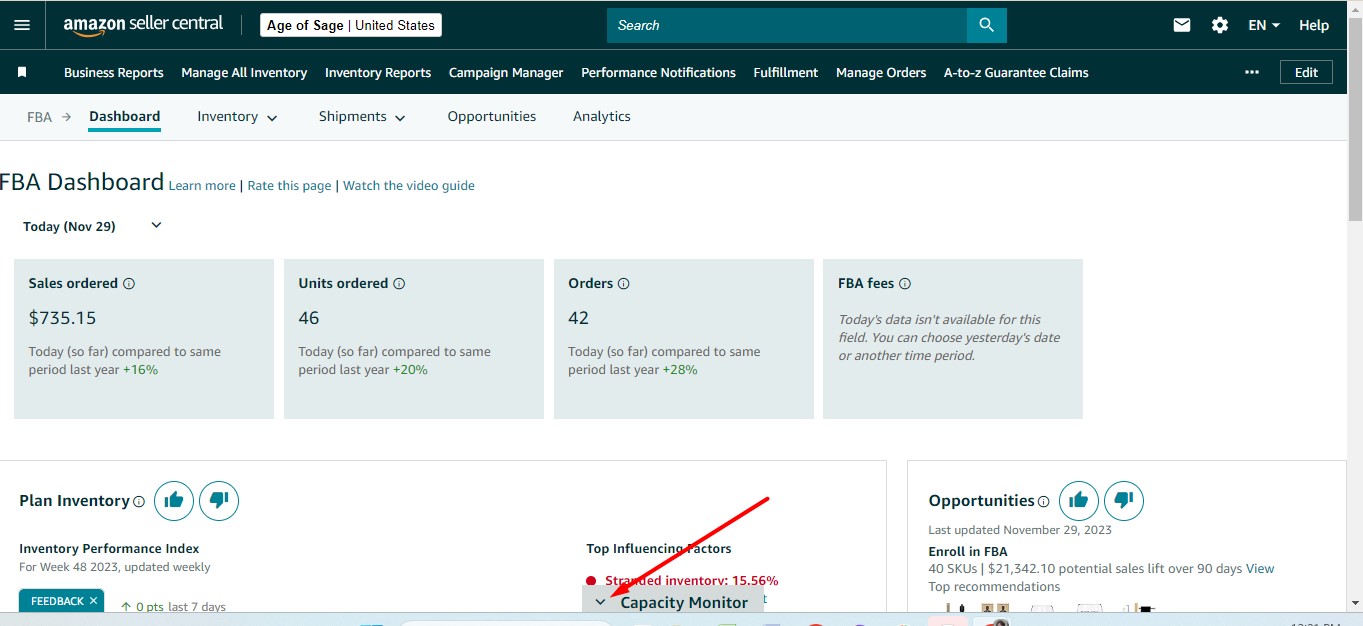 Amazon Capacity Manager: Strategic Inventory Optimization Guide
