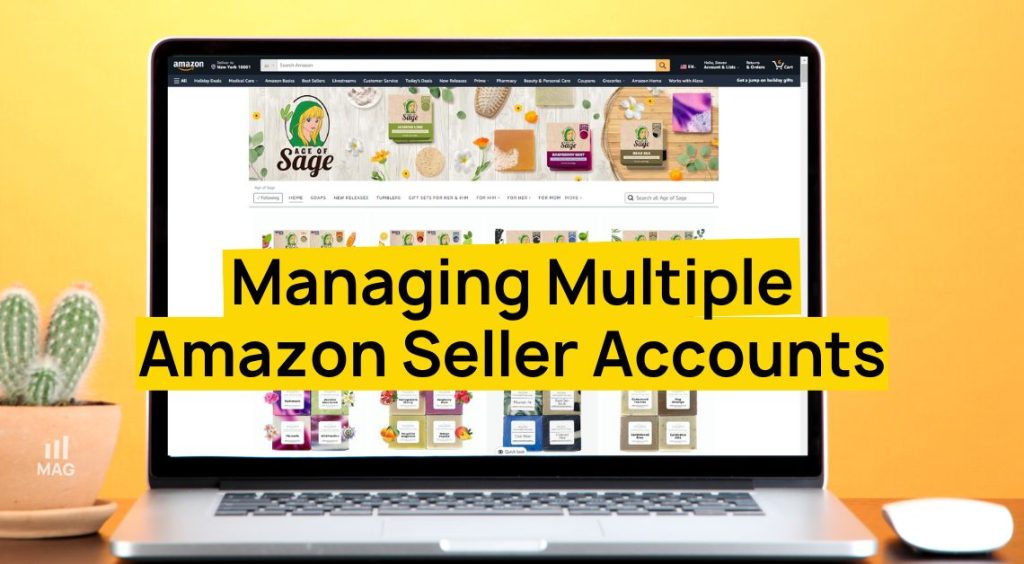 Managing Multiple Amazon Seller Accounts