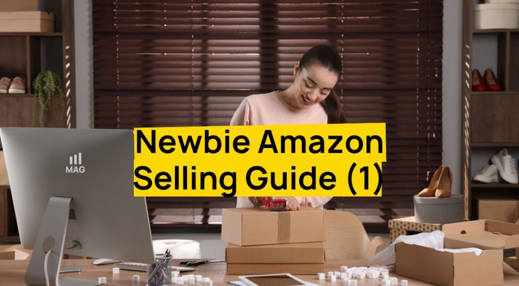Newbie Amazon Selling Guide 1