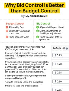 Why Bid Control is Better than Budget Control