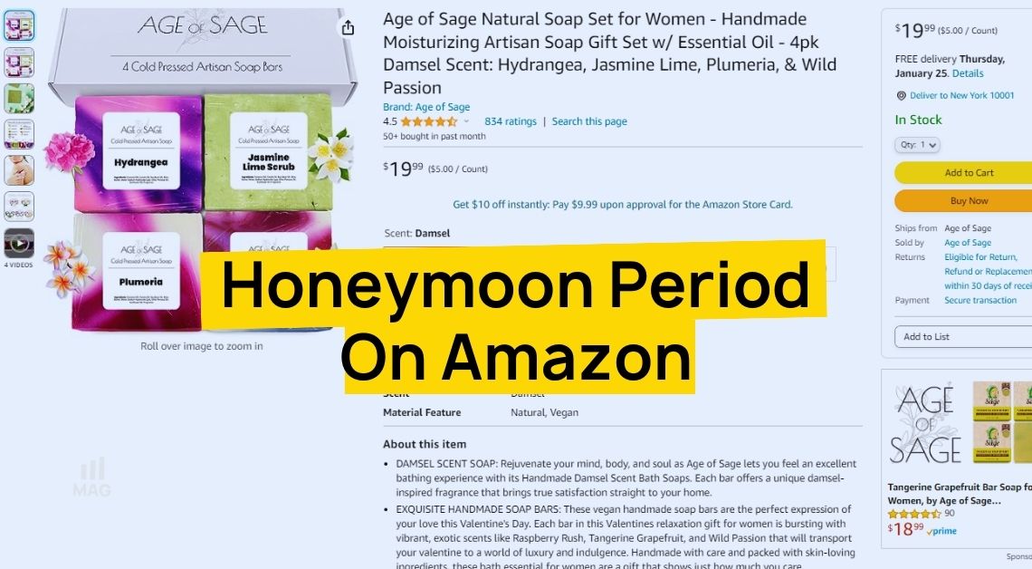 Amazon Honeymoon Period: Blast Off to Sales Success