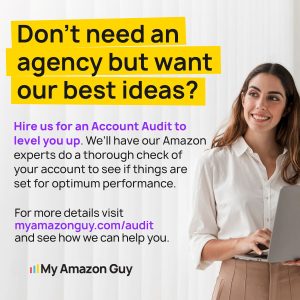 Amazon Seller Central Agency Account Audit