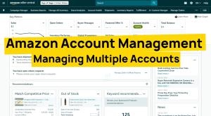 Amazon Account Management Managing Multiple Accounts