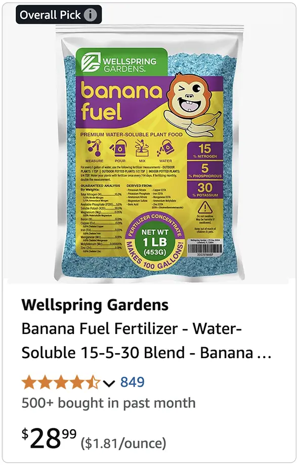 Amazon Case Study Wellspring Gardens
