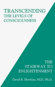 Business Book: Transcending the Levels of Consciousness