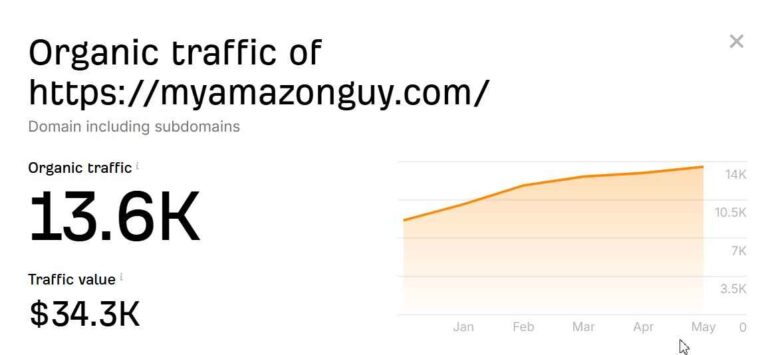 My Amazon Guy vs Eva: MAG organic traffic