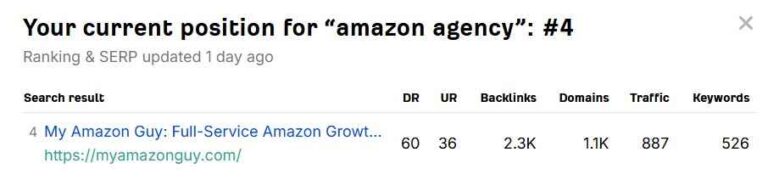 My Amazon Guy vs Eva: MAG website rank