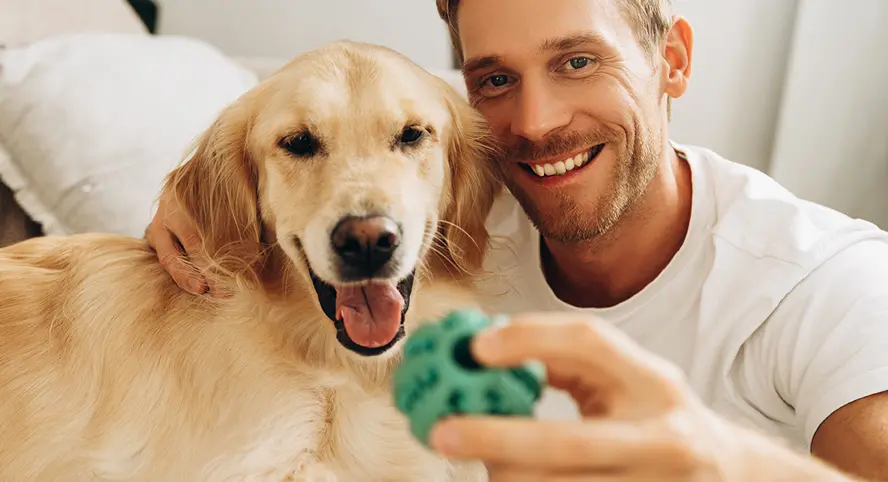 DTC Case Study Pet toy Amazon Bestseller to DTC Favorite 1 DTC website case study