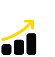 icon roi