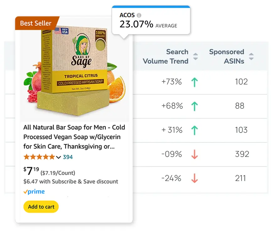 Advertising Audit 1 amazon advertising audit