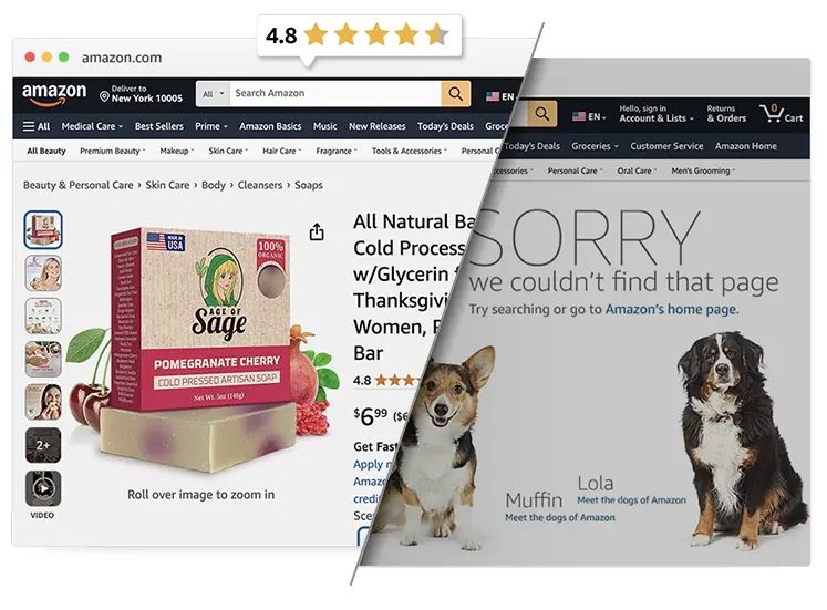 Listing Reinstatement 1 Amazon Listing Reinstatement Service