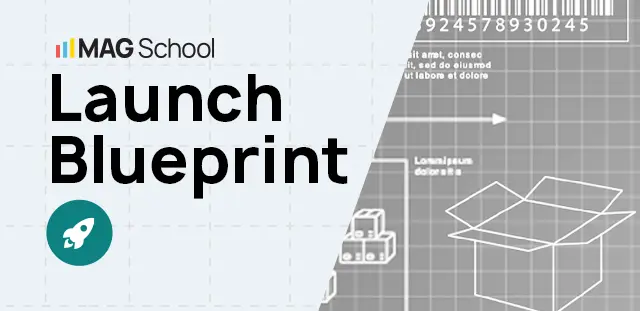 digital products courses launch