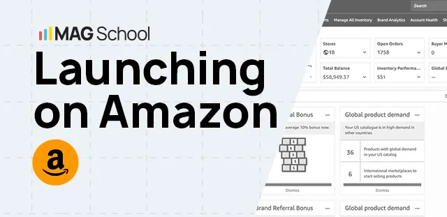 digital products courses launching