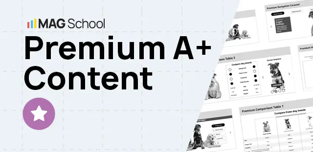 digital products courses premium a