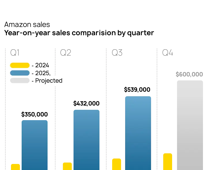 Amazon sales increase case study