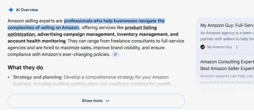 MAG vs GNO Partners My Amazon Guy mentioned in Google AI overview for amazon selling experts