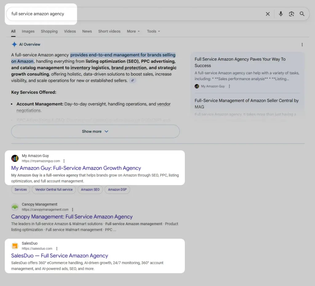 My Amazon Guy vs SalesDuo Google ranking