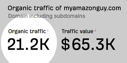 mag vs quartile organic traffic 01