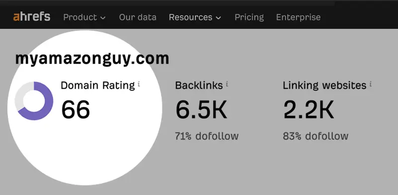 My Amazon Guy domain rating