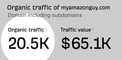 mag vs velocity sellers organic traffic 1