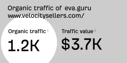 mag vs velocity sellers organic traffic 2