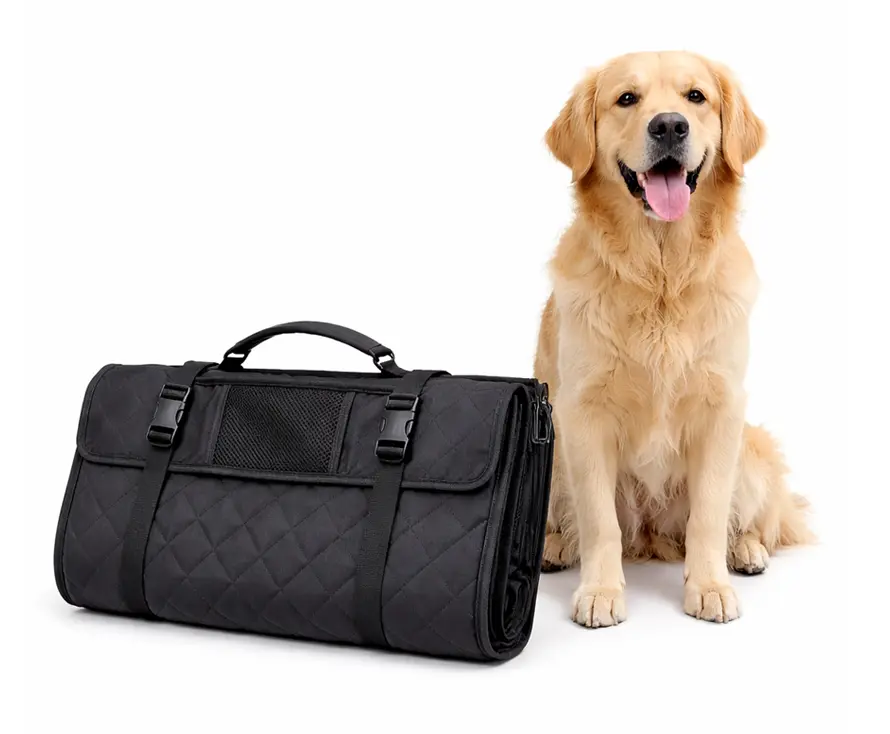 amazon case study amazon seat cove onwhite