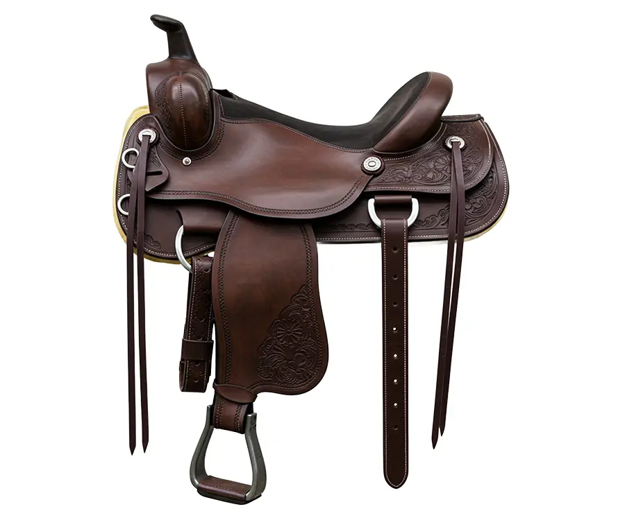 amazon case study amazon pet and horse supply