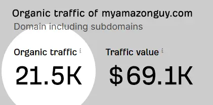 My Amazon Guy Full Service Amazon Agency vs Teikametrics