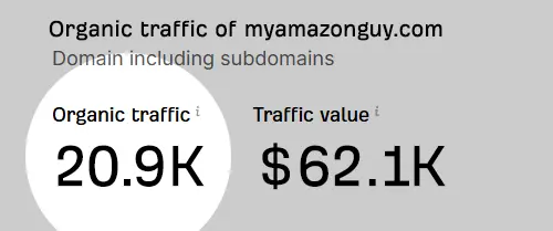 My Amazon Guy vs Million Dollar Sellers