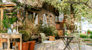 Amazon Patio Lawn & Garden Product Category Featured Image