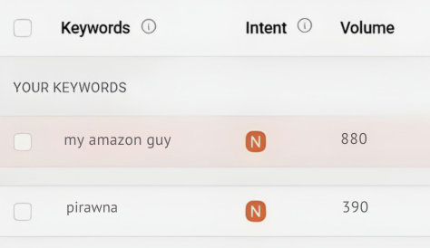 My Amazon Guy vs Pirawna search volume