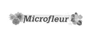 logo gray microfleur.webp