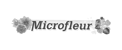logo gray microfleur.webp