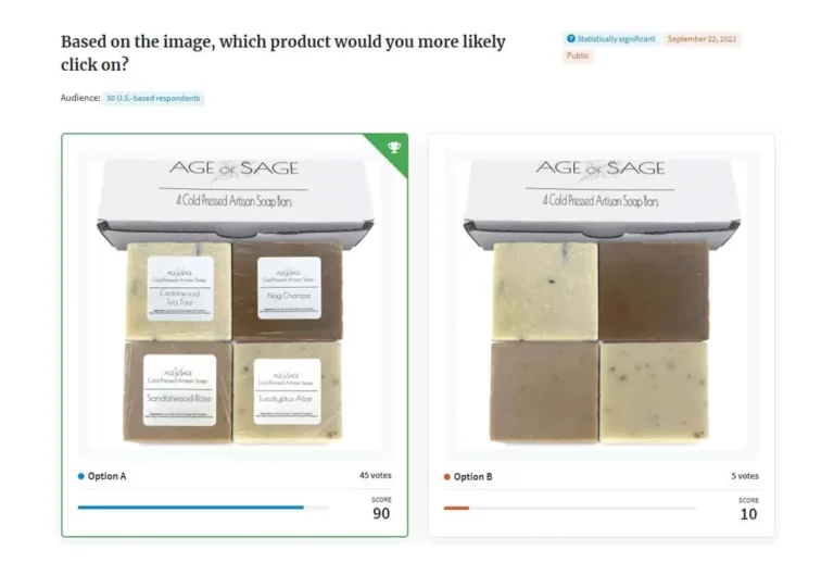 Sample PickFu A/B Test
