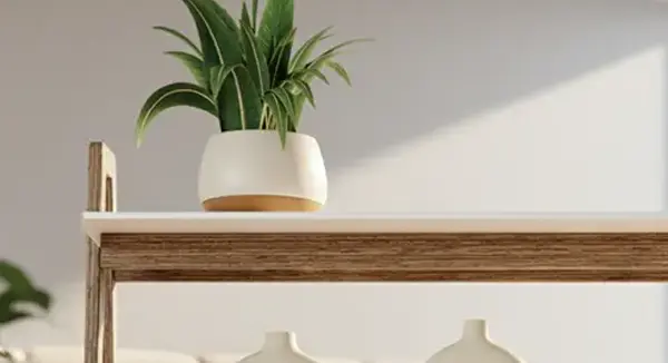 Amazon home and kitchen seller agency